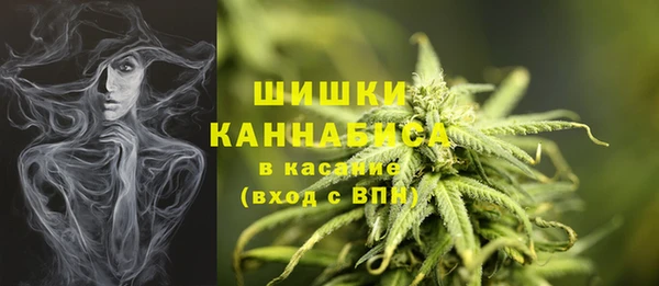 спайс Горняк